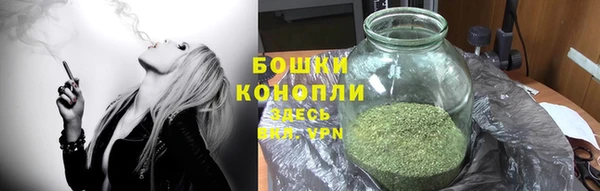 соль ск Липки