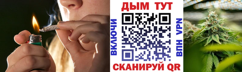Купить закладки  Михайловск  Конопля план 